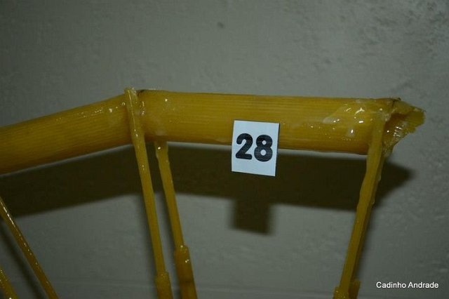 gerais_26