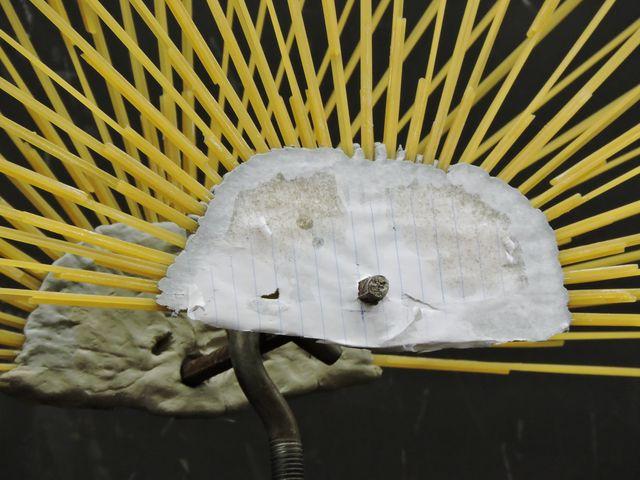 Original image